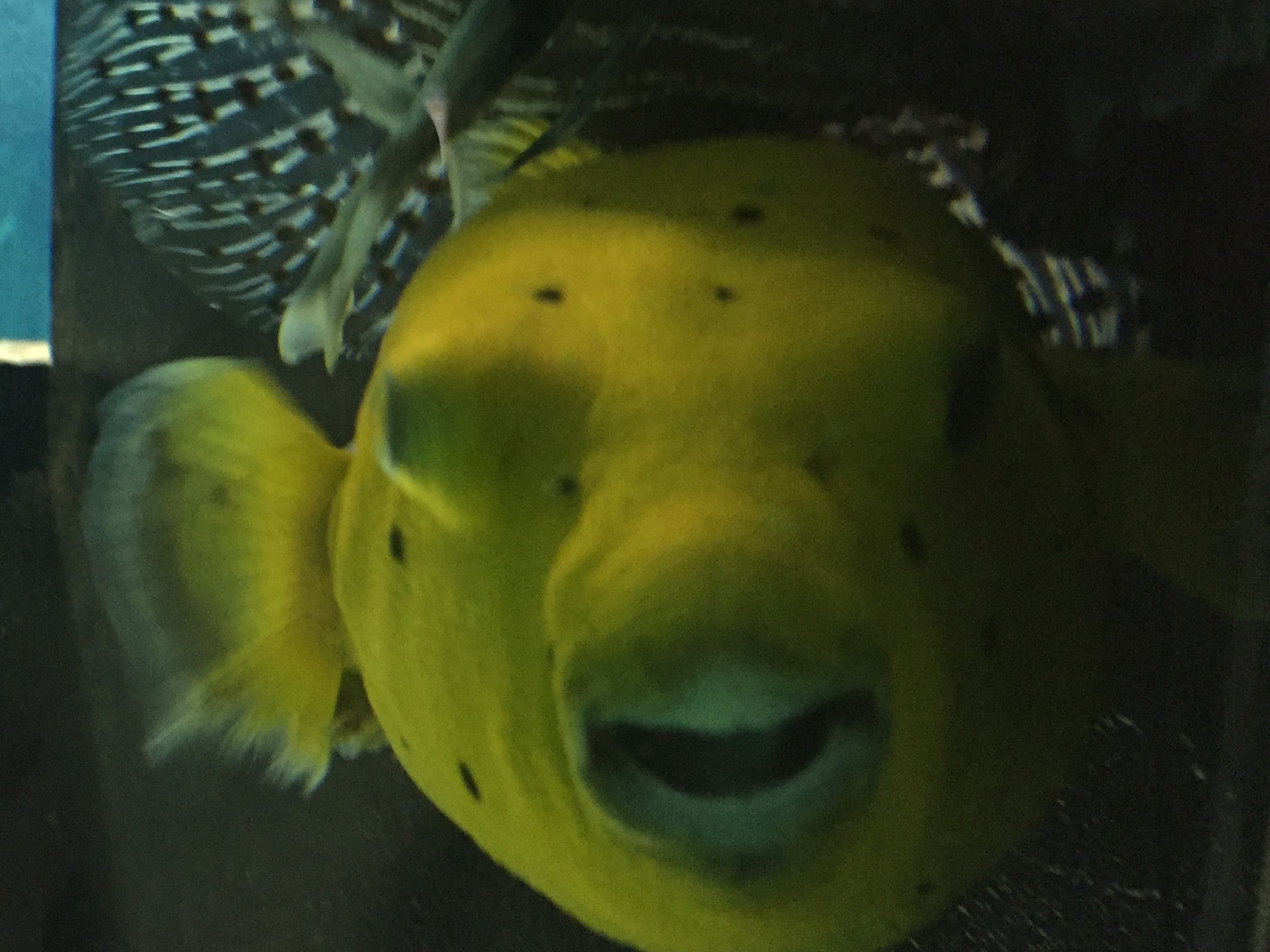Zoo Berlin  18.08.2019