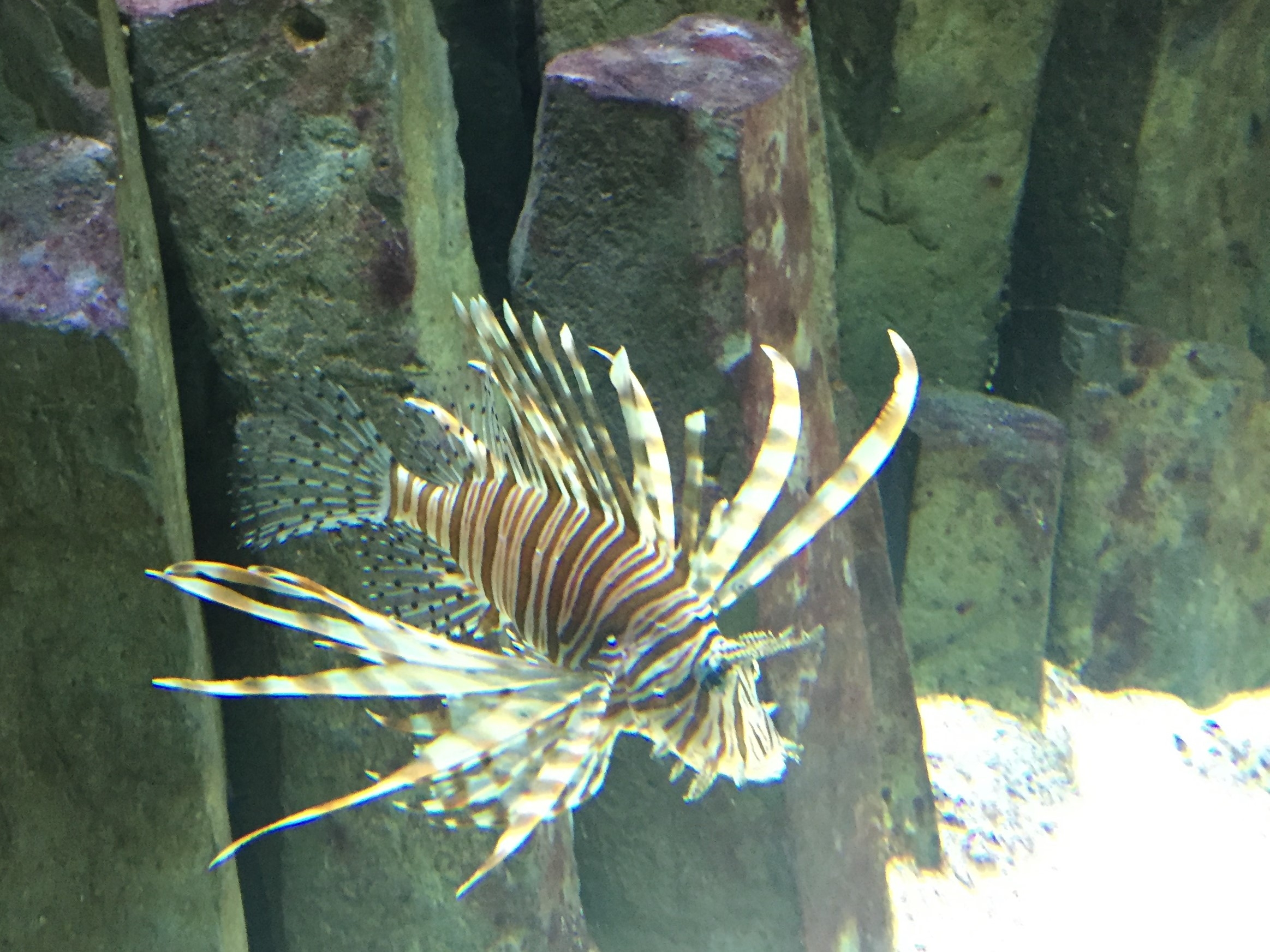 Zoo Berlin  18.08.2019