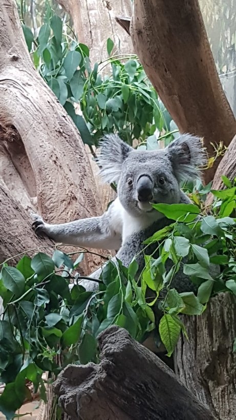 Zoo 11.02.2019