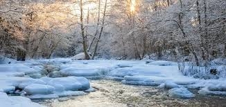 Winter.jpg