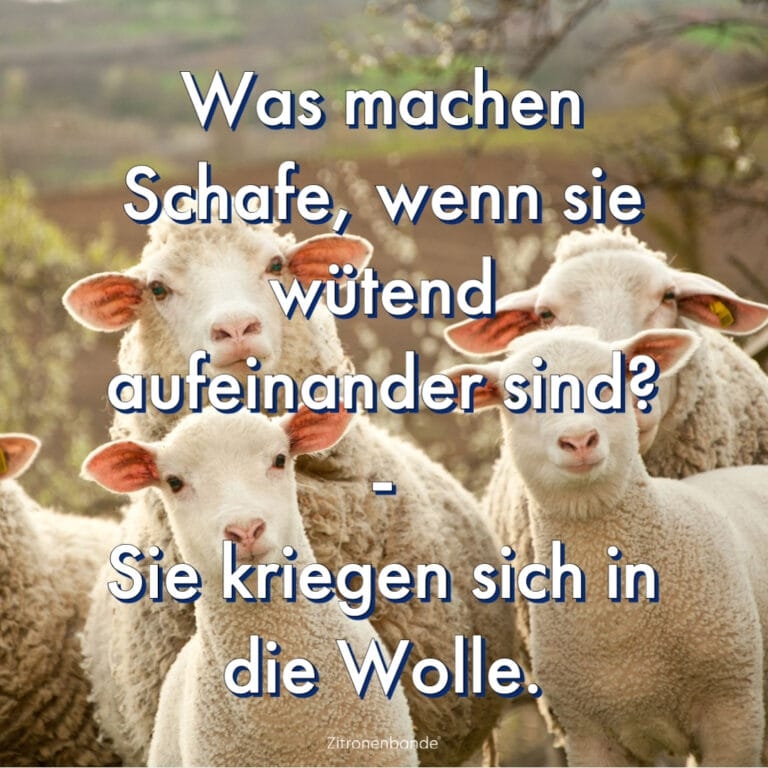Sprüche, Weisheiten, Nonsens 19.08.2022
