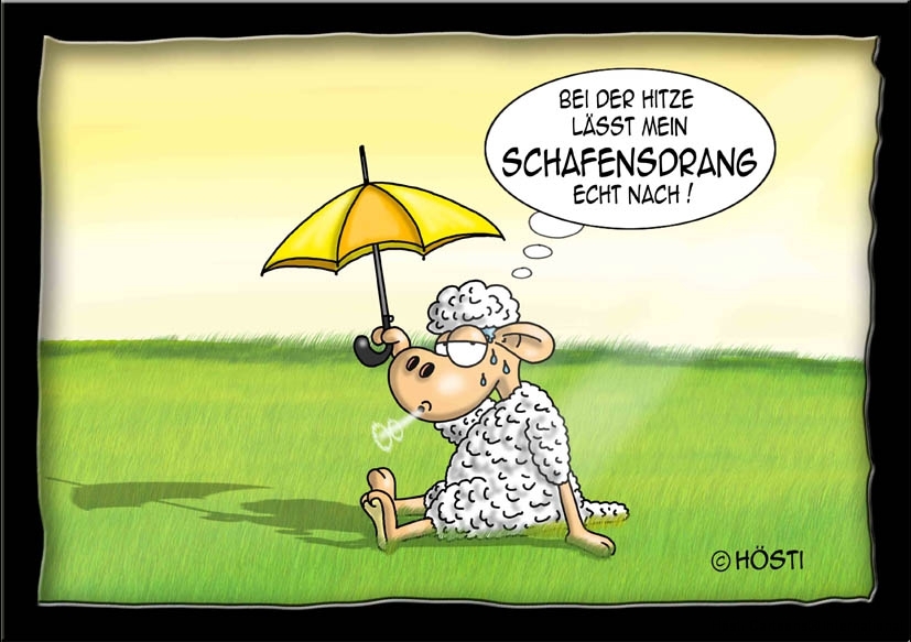 schafensdrang-forum-hzxhHp