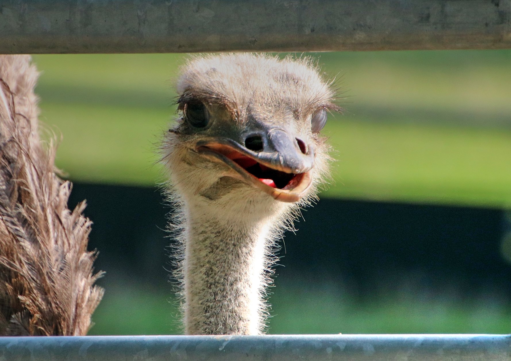 Tierisch bei Lumpi  29.03.2023
