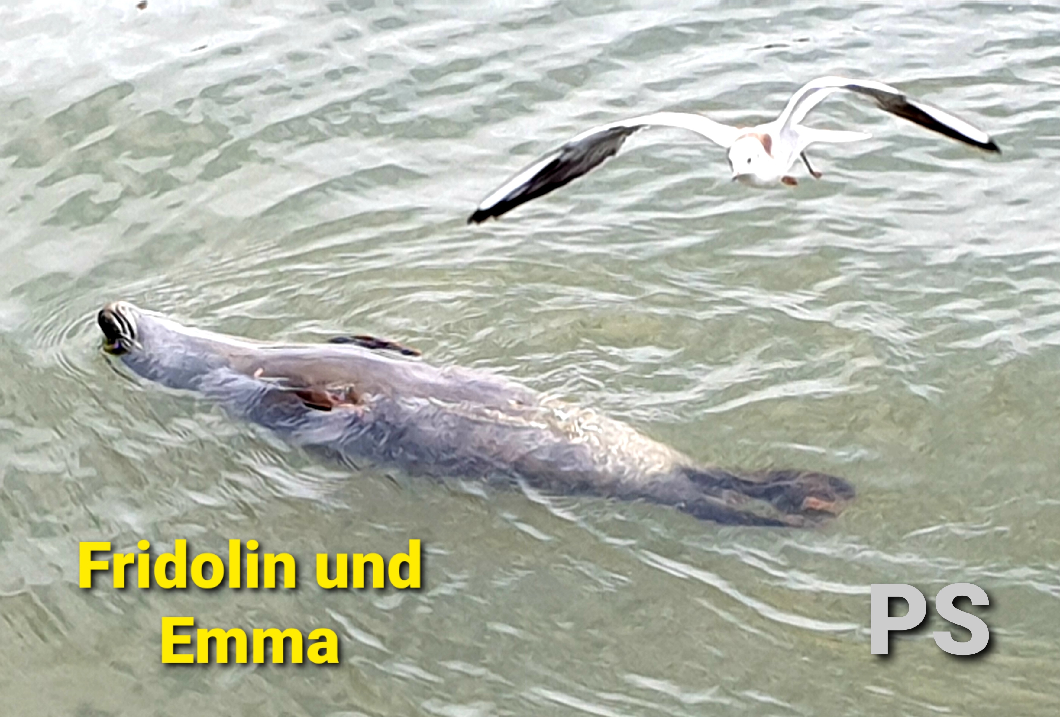 Mein Revier  23.03.2023
