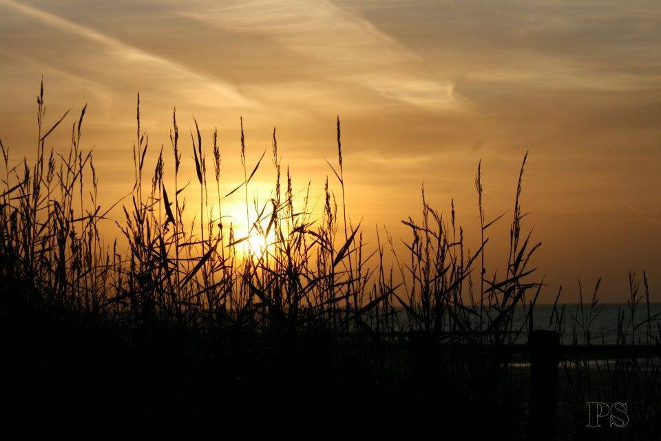 Meer , Strand , Sonne  24.03.2023