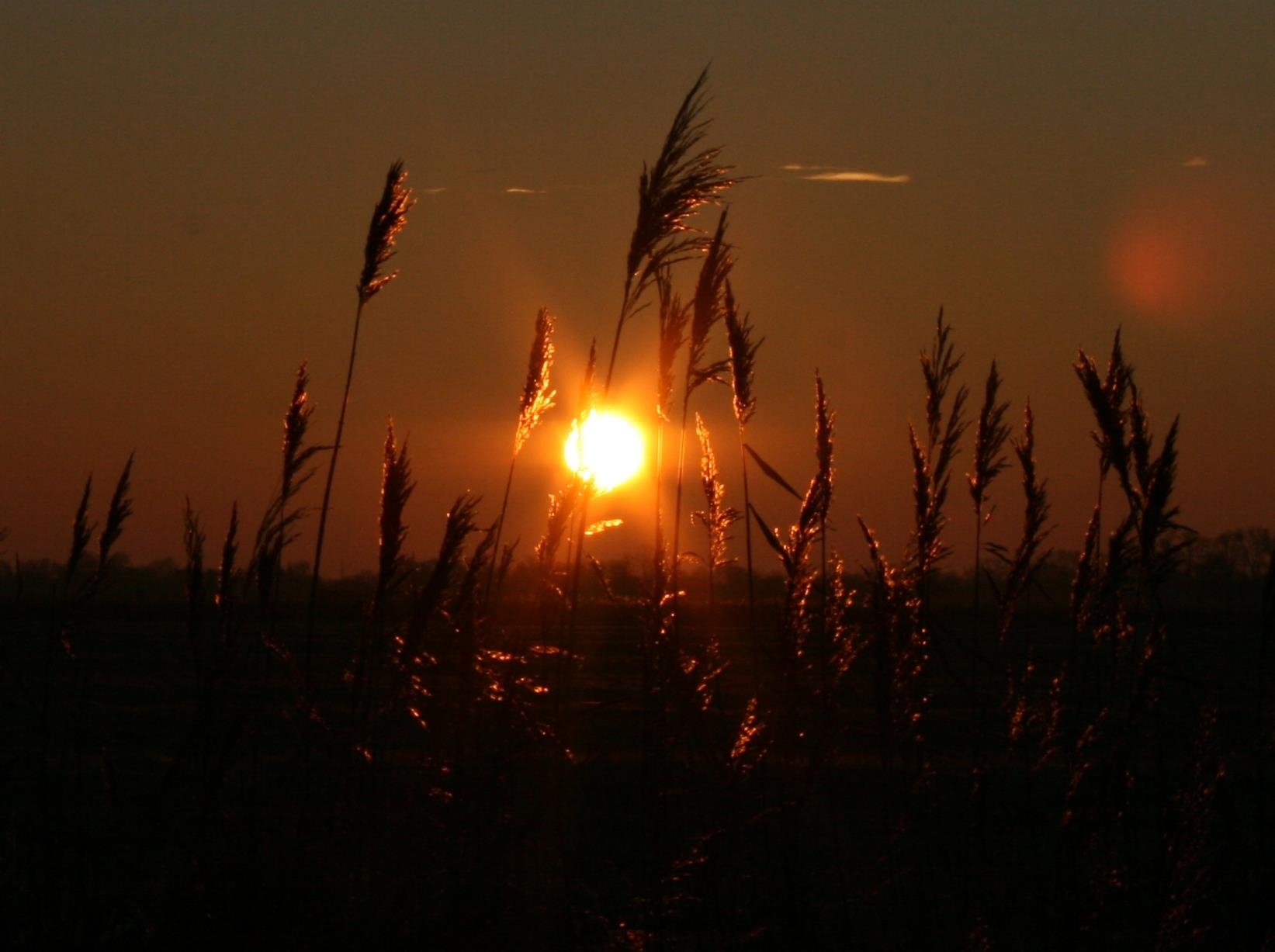 Meer , Strand , Sonne  24.03.2023