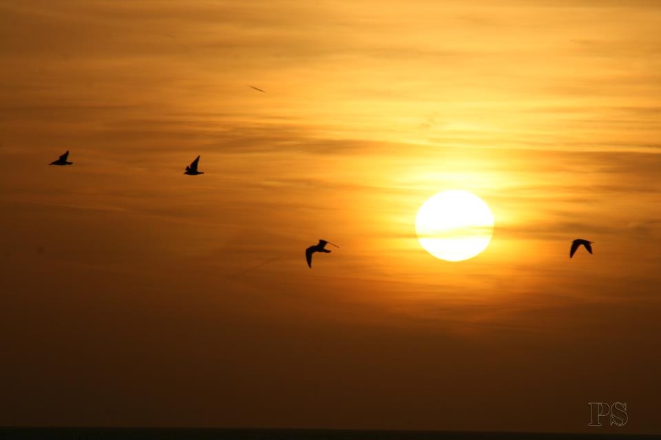 Meer , Strand , Sonne  24.03.2023