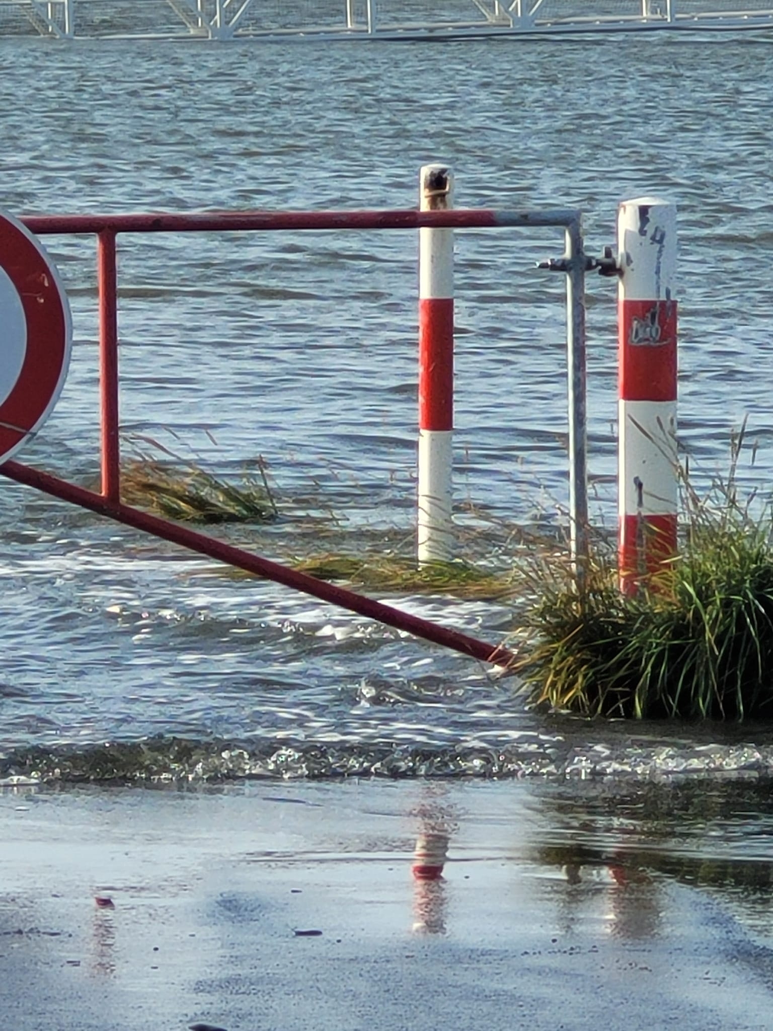 Ohne Titel 17.09.2024