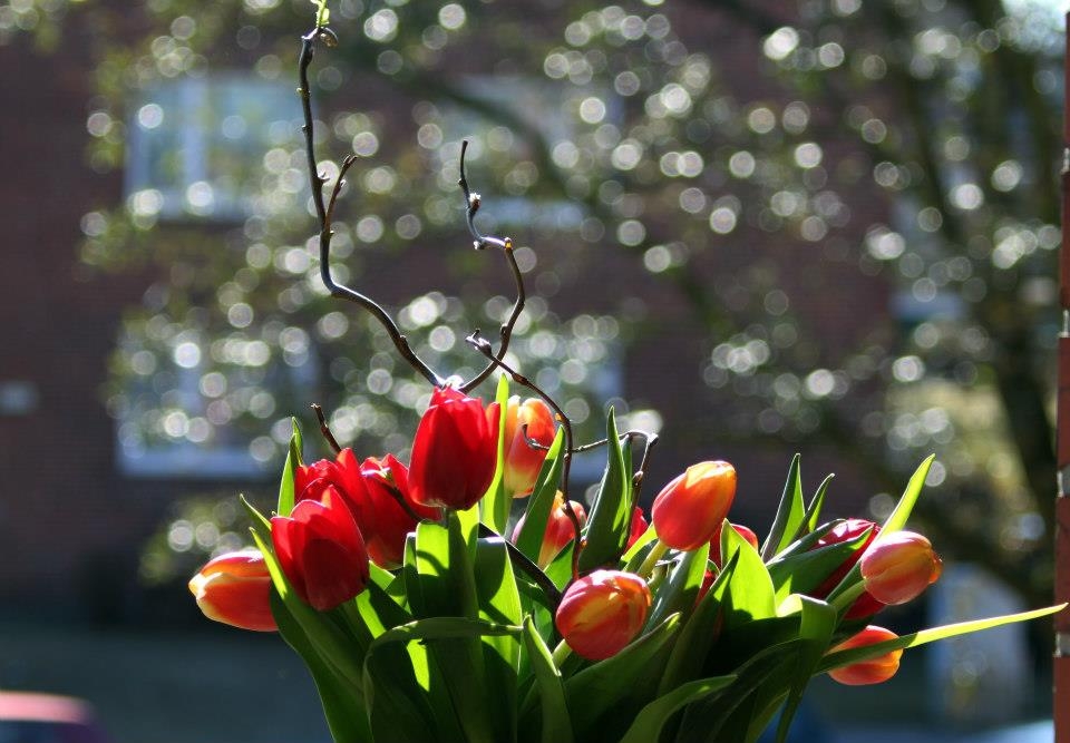 Blumiges   05.04.2023