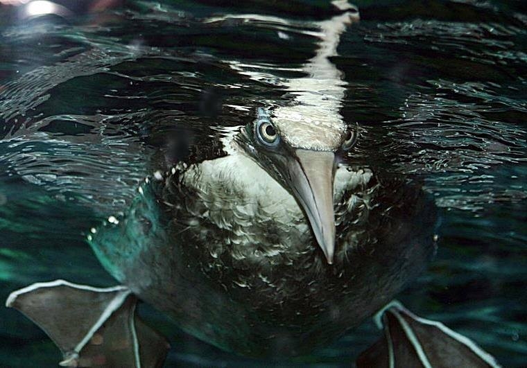 Tierisch bei Lumpi  29.03.2023