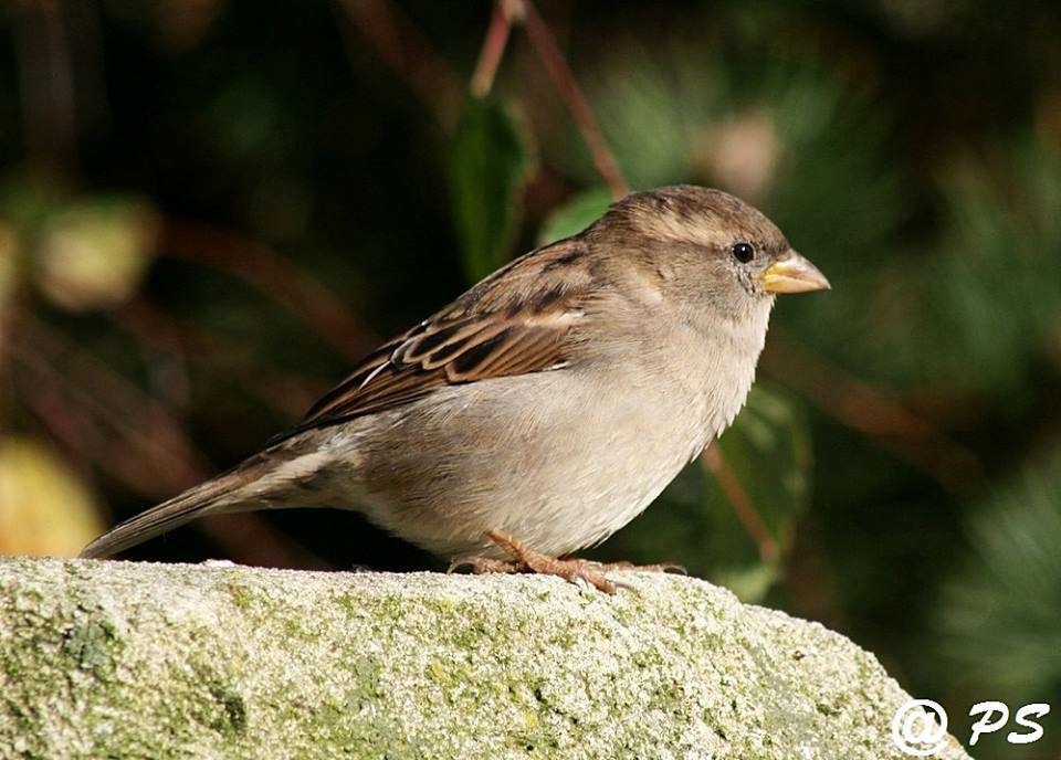 Tierisch bei Lumpi  29.03.2023