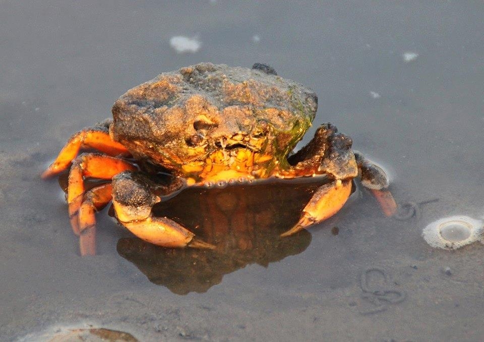 Tierisch bei Lumpi  29.03.2023