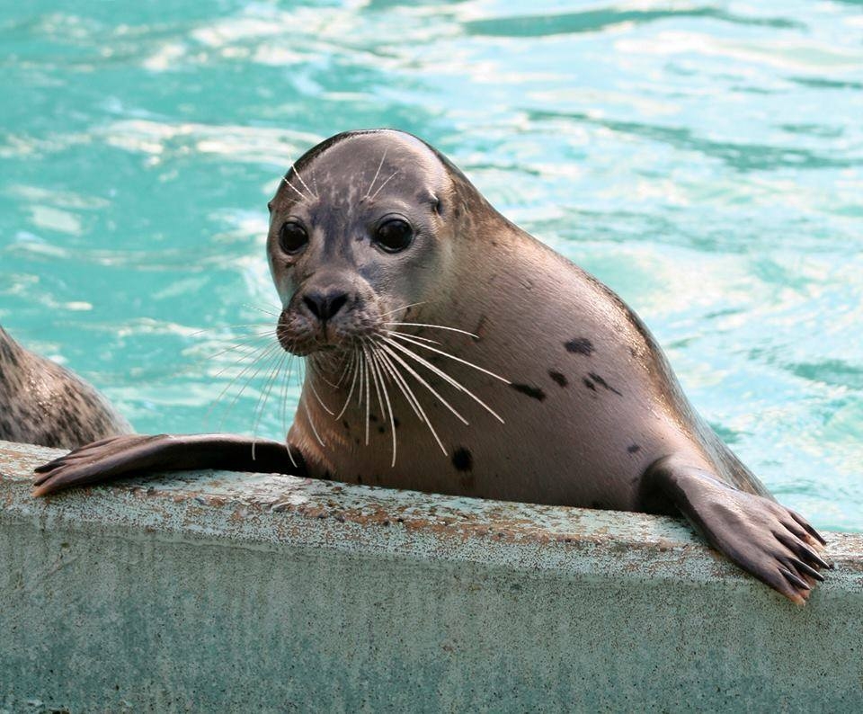 Tierisch bei Lumpi  29.03.2023