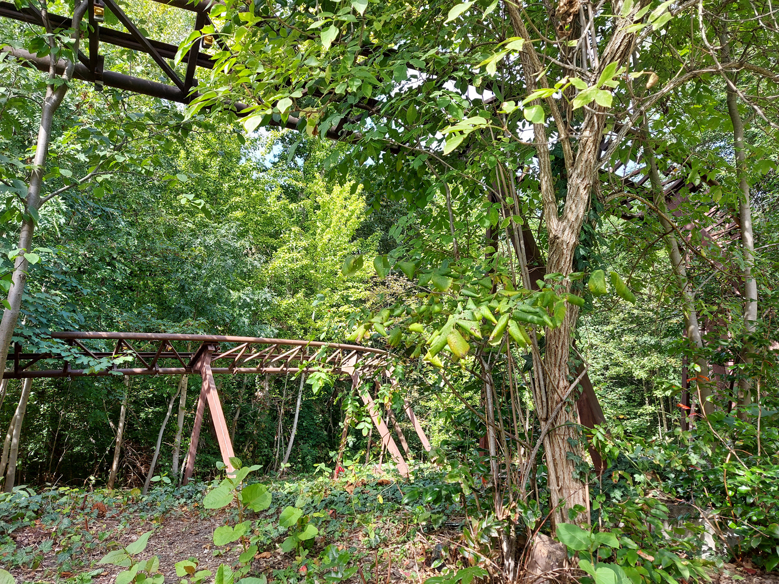 Lost Place: Spree Park Berlin im Plänterwald 19.09.2020