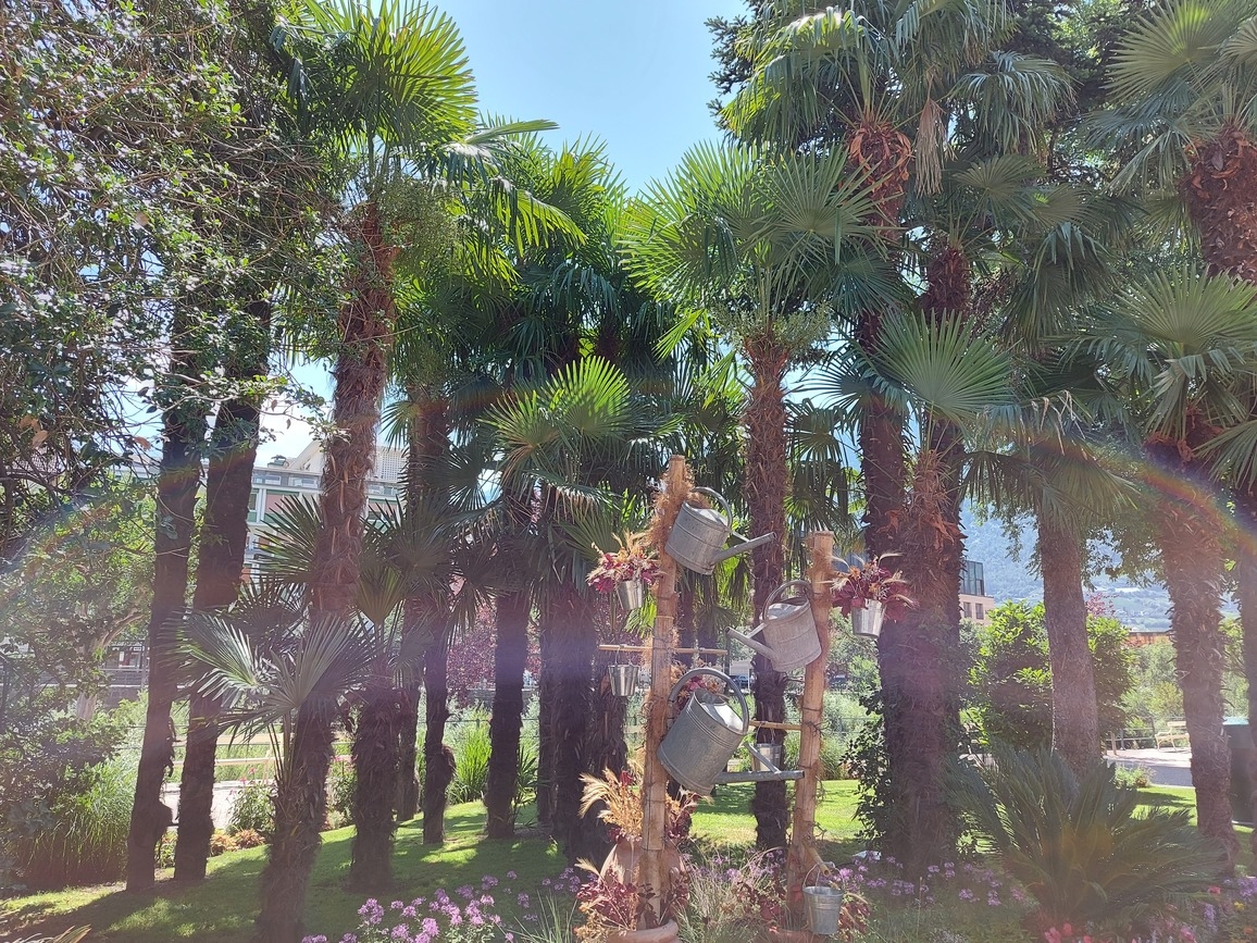 Meran