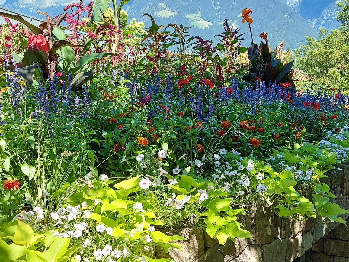 Meran