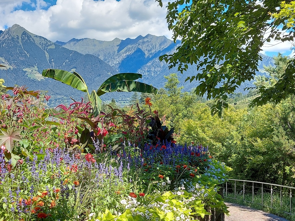 Meran