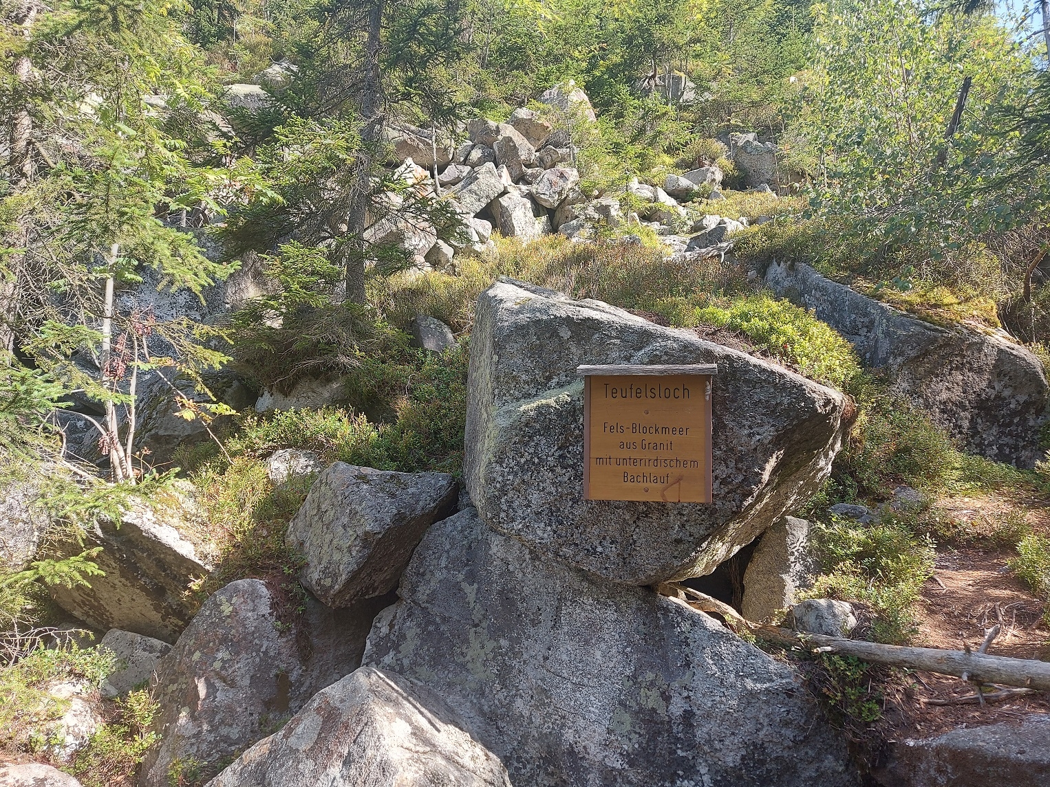 Bayerischer Wald 30.08.2023