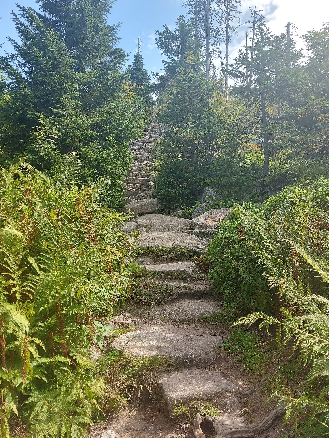 Bayerischer Wald 30.08.2023