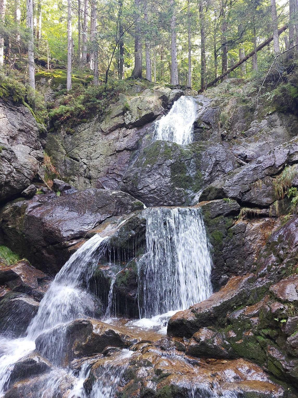 Bayerischer Wald 30.08.2023