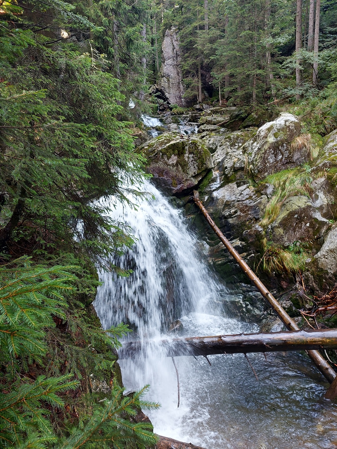 Bayerischer Wald 30.08.2023