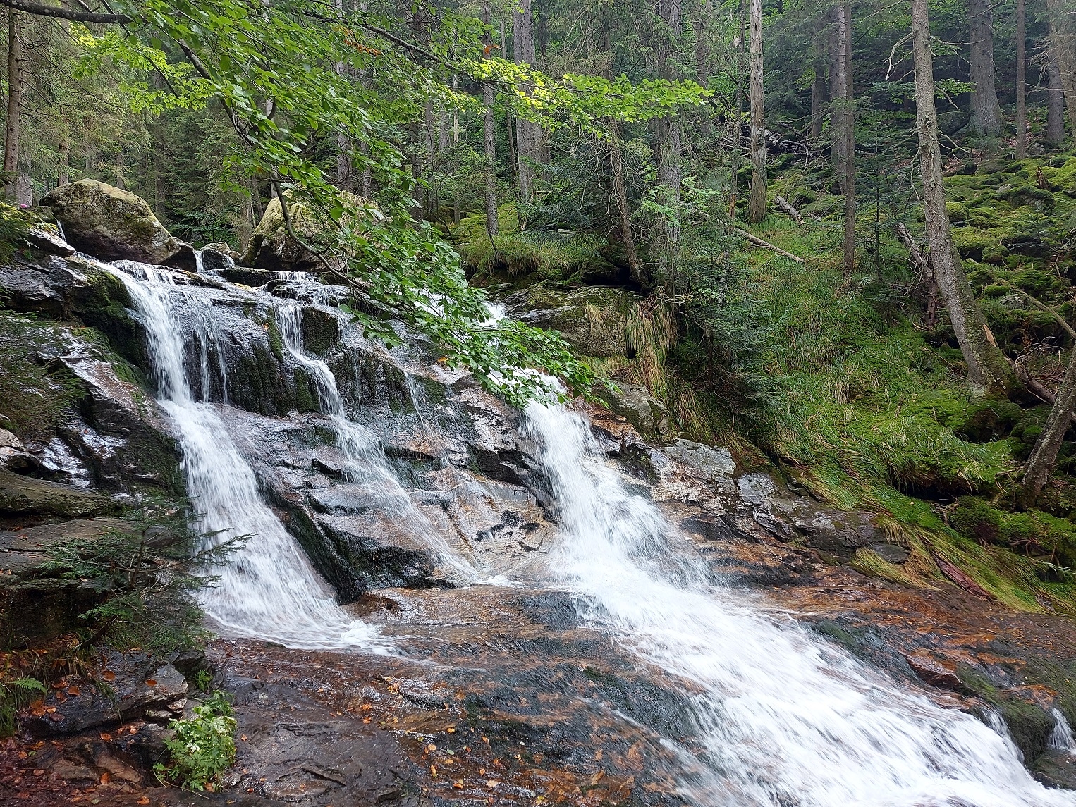 Bayerischer Wald 30.08.2023