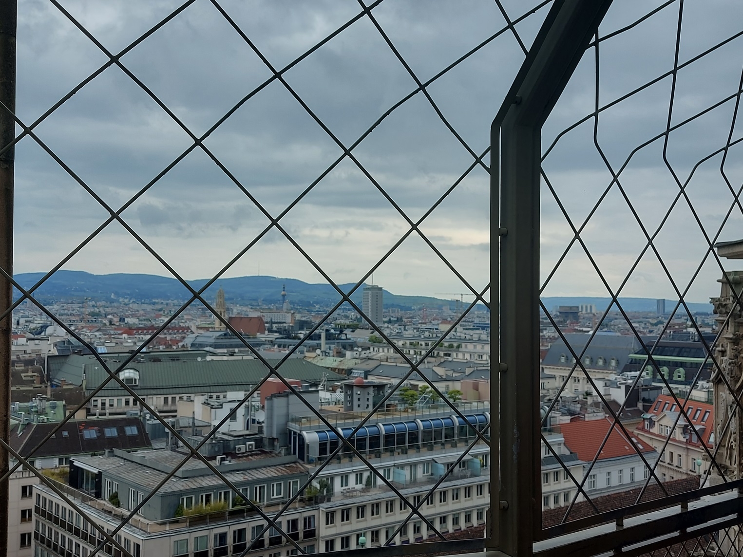 Wien 2024 05.05.2024