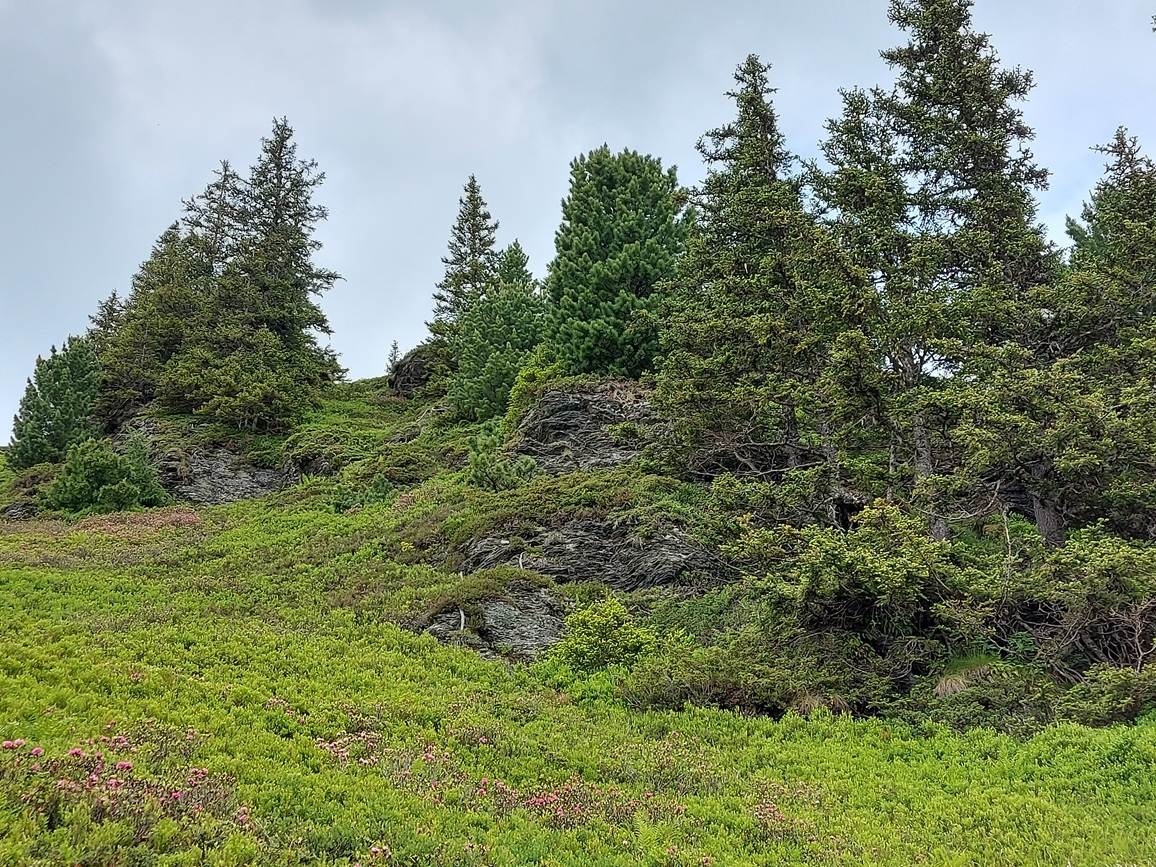 Urlaub in Schladming und Salzburg