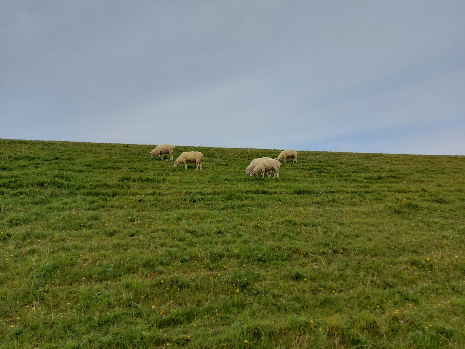 Urlaub an der Nordsee 03.09.2024