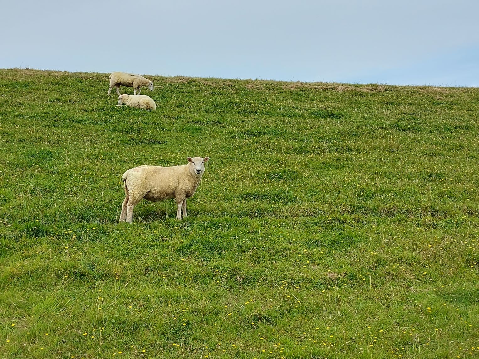 Urlaub an der Nordsee 03.09.2024