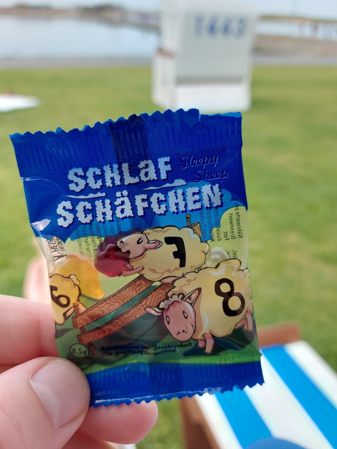 Urlaub an der Nordsee 03.09.2024