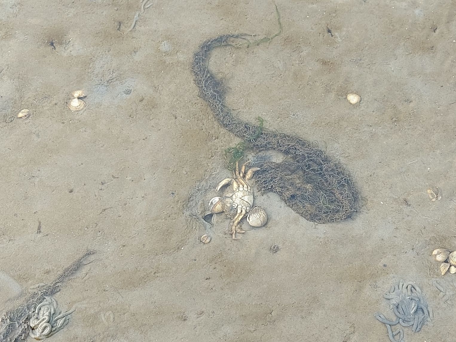 Urlaub an der Nordsee 03.09.2024
