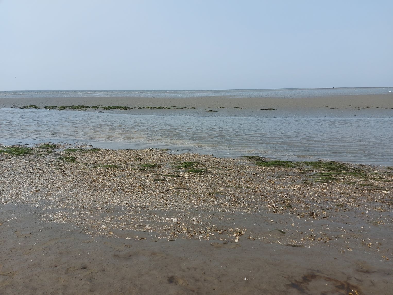 Urlaub an der Nordsee 03.09.2024