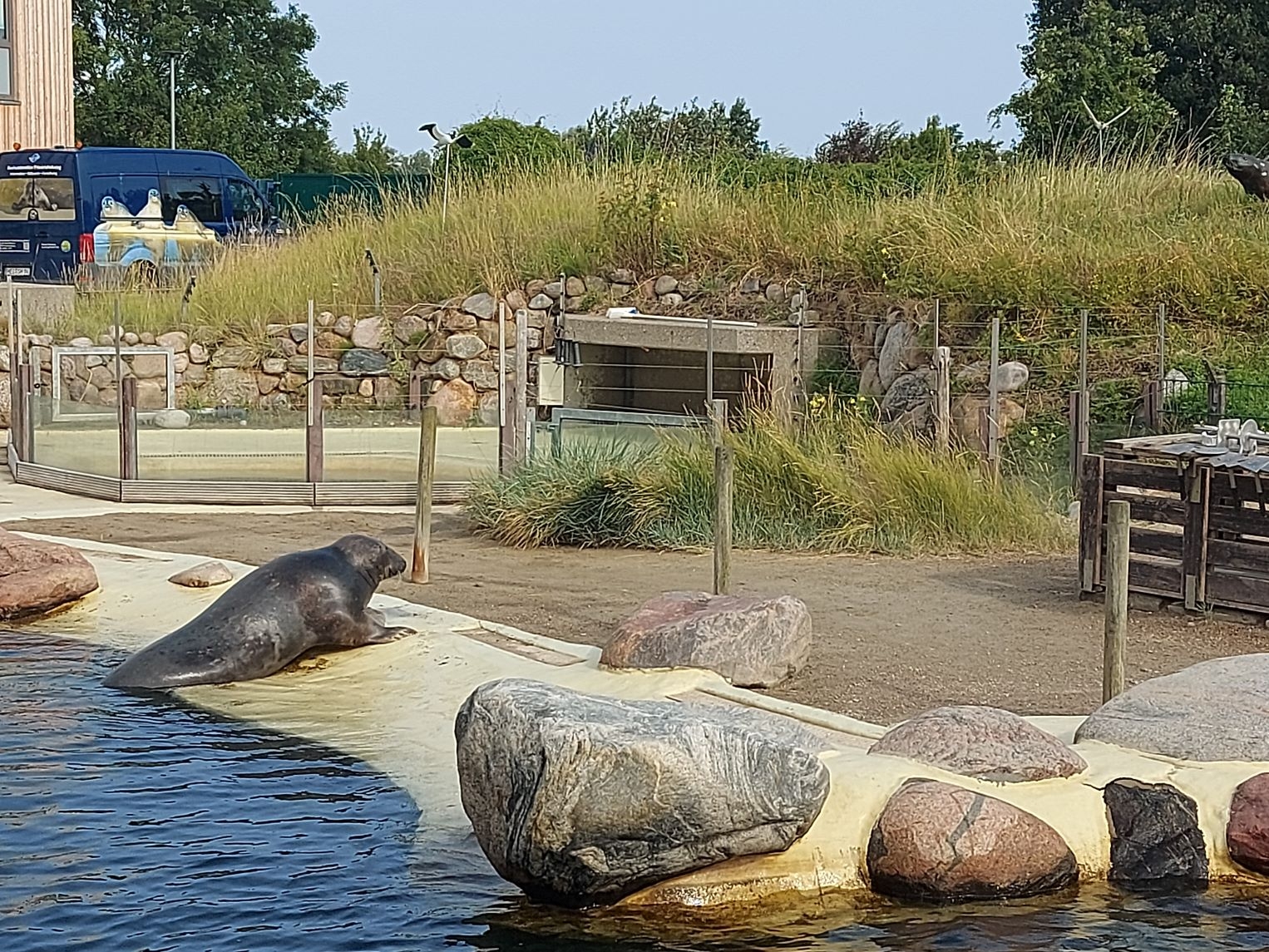 Urlaub an der Nordsee 03.09.2024