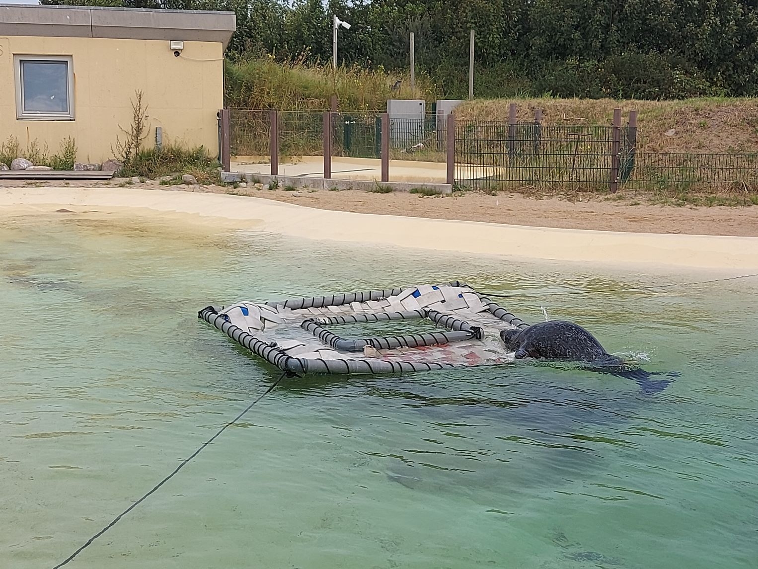 Urlaub an der Nordsee 03.09.2024