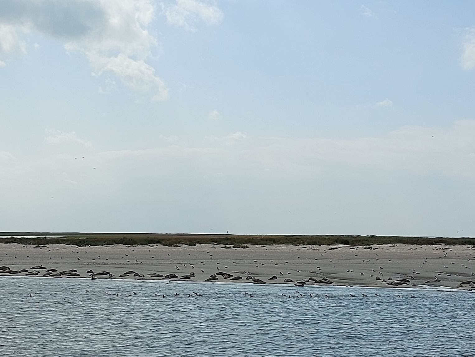 Urlaub an der Nordsee 03.09.2024