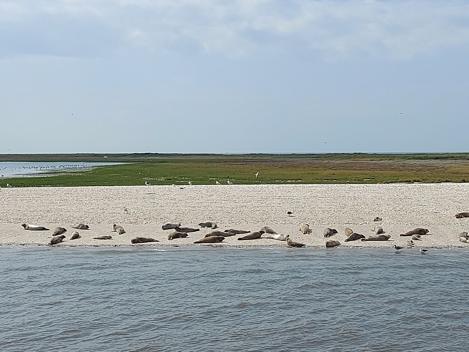 Urlaub an der Nordsee 03.09.2024