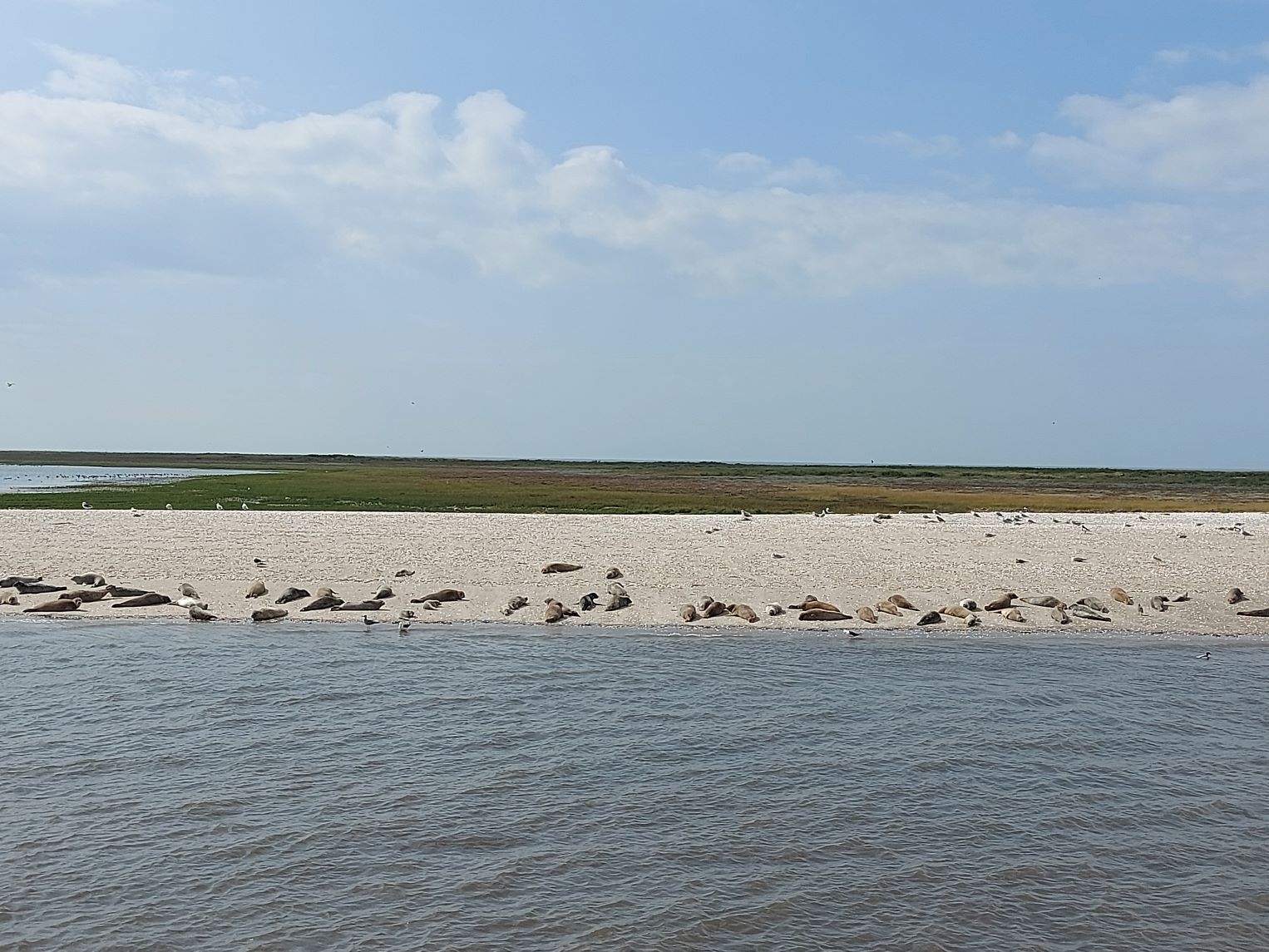 Urlaub an der Nordsee 03.09.2024