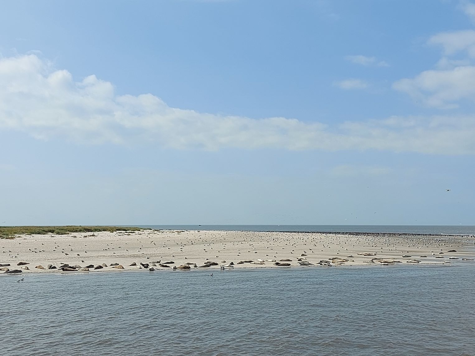 Urlaub an der Nordsee 03.09.2024