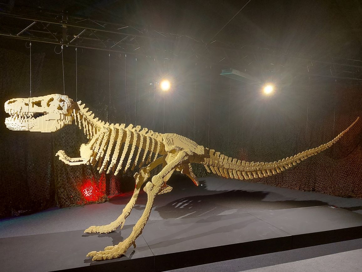 The Art of the Brick 10.11.2024