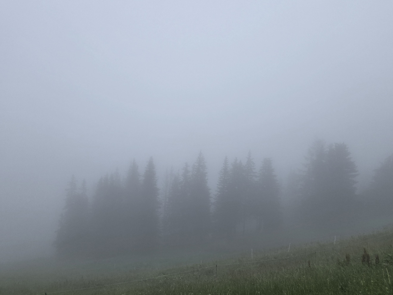 Schladming (Österreich) 2025 27.07.2025