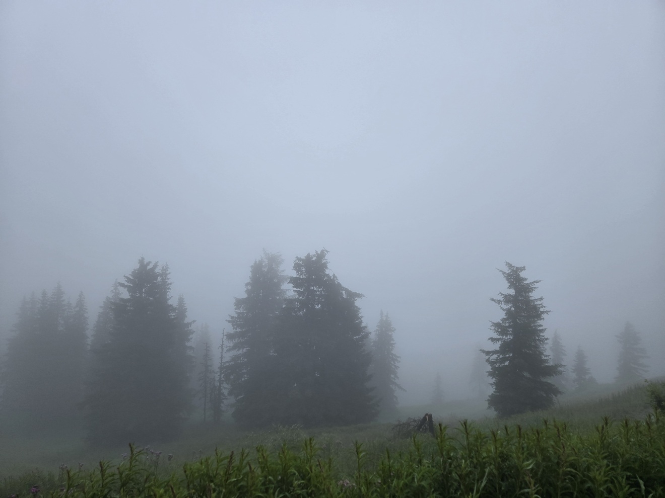 Schladming (Österreich) 2025 27.07.2025