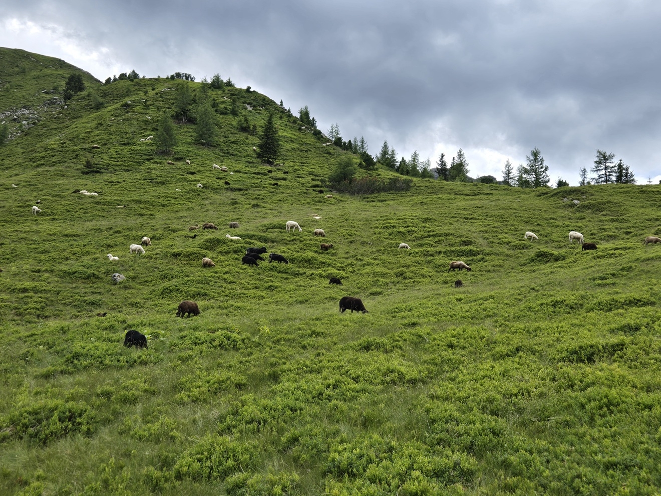 Schladming (Österreich) 2025 27.07.2025