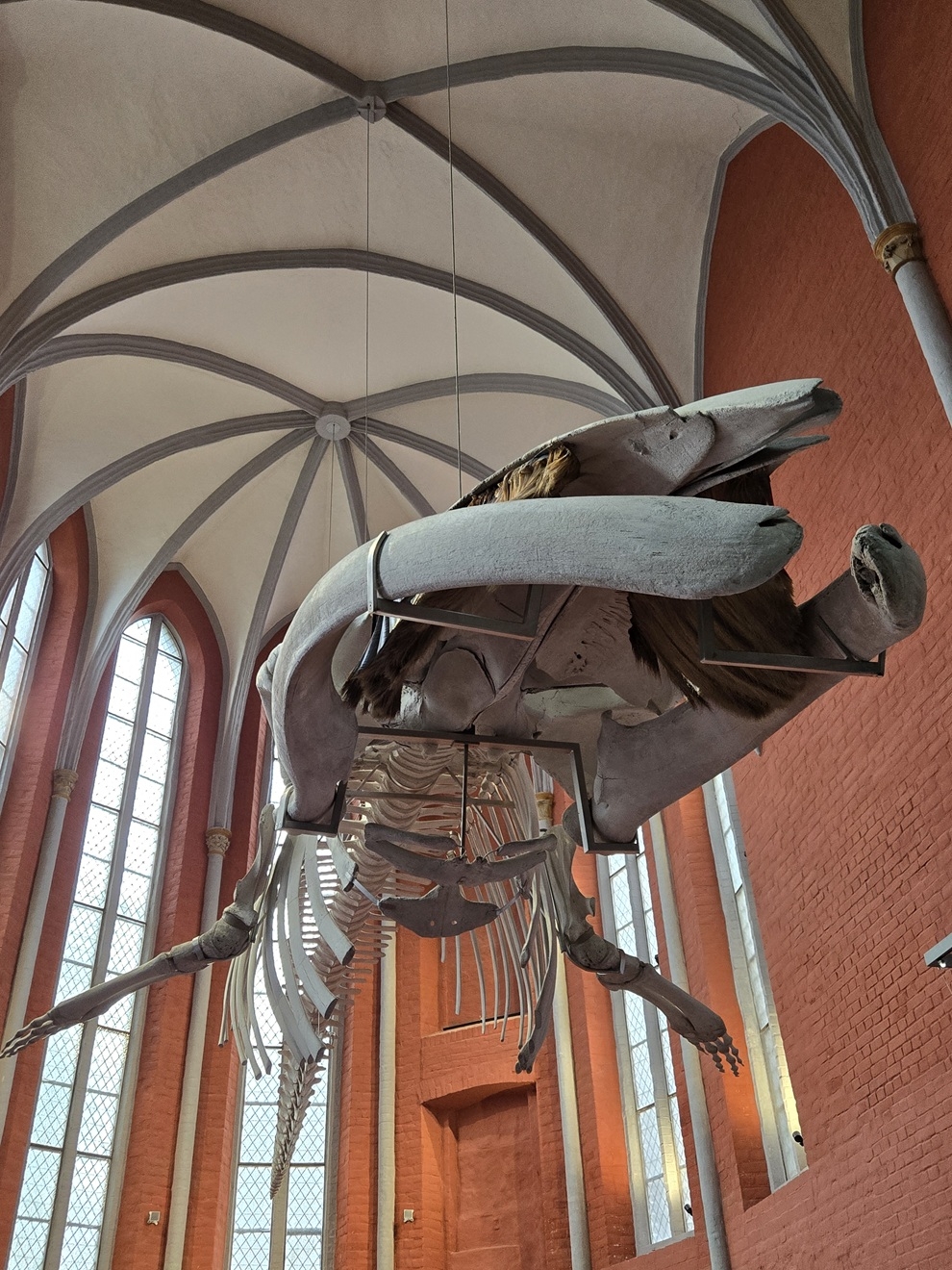 Stralsund 27.07.2025