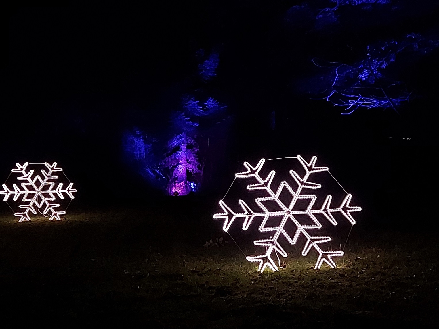 Christmas Garden Berlin 2021 03.12.2021