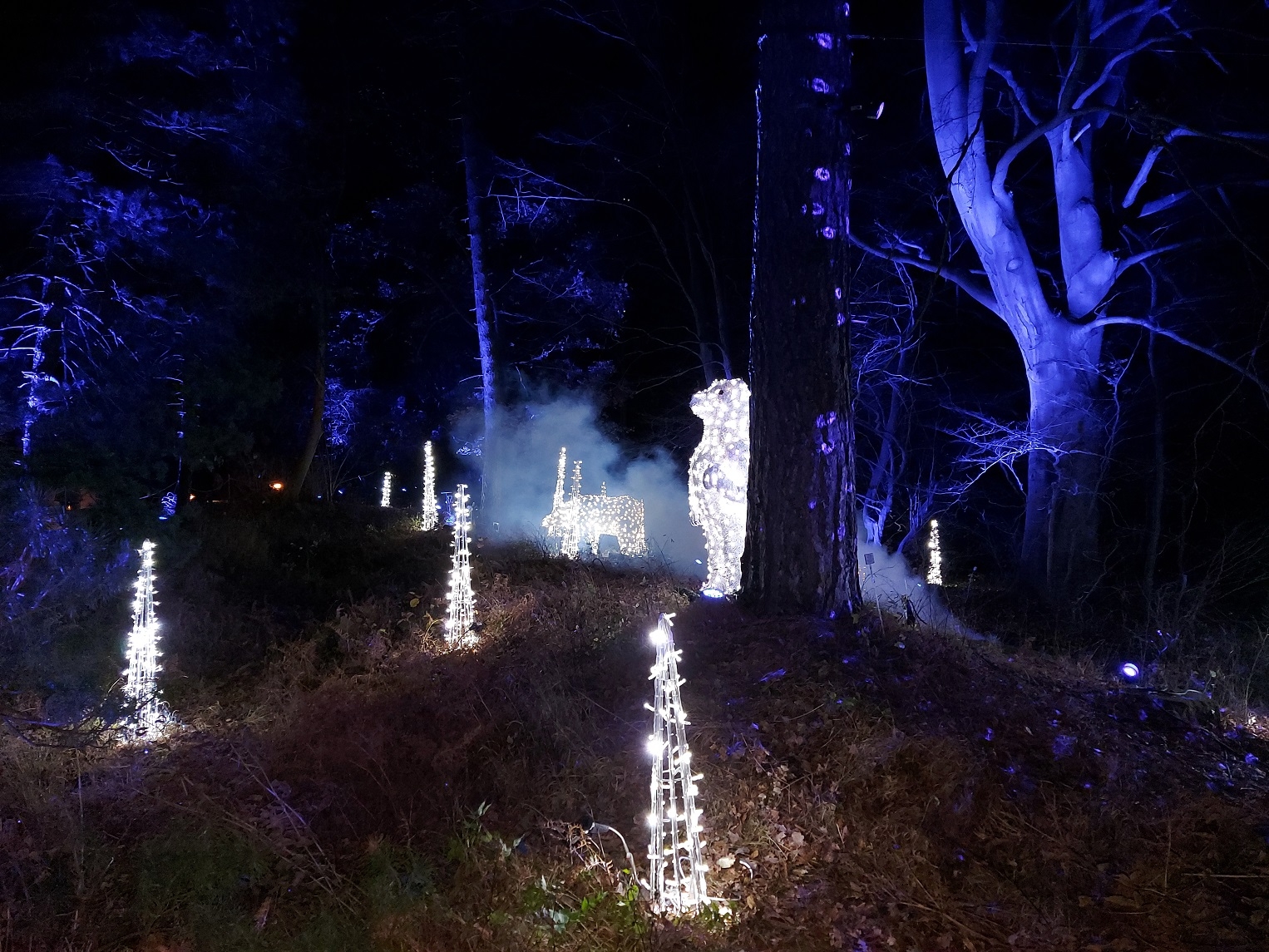 Christmas Garden Berlin 2021 03.12.2021