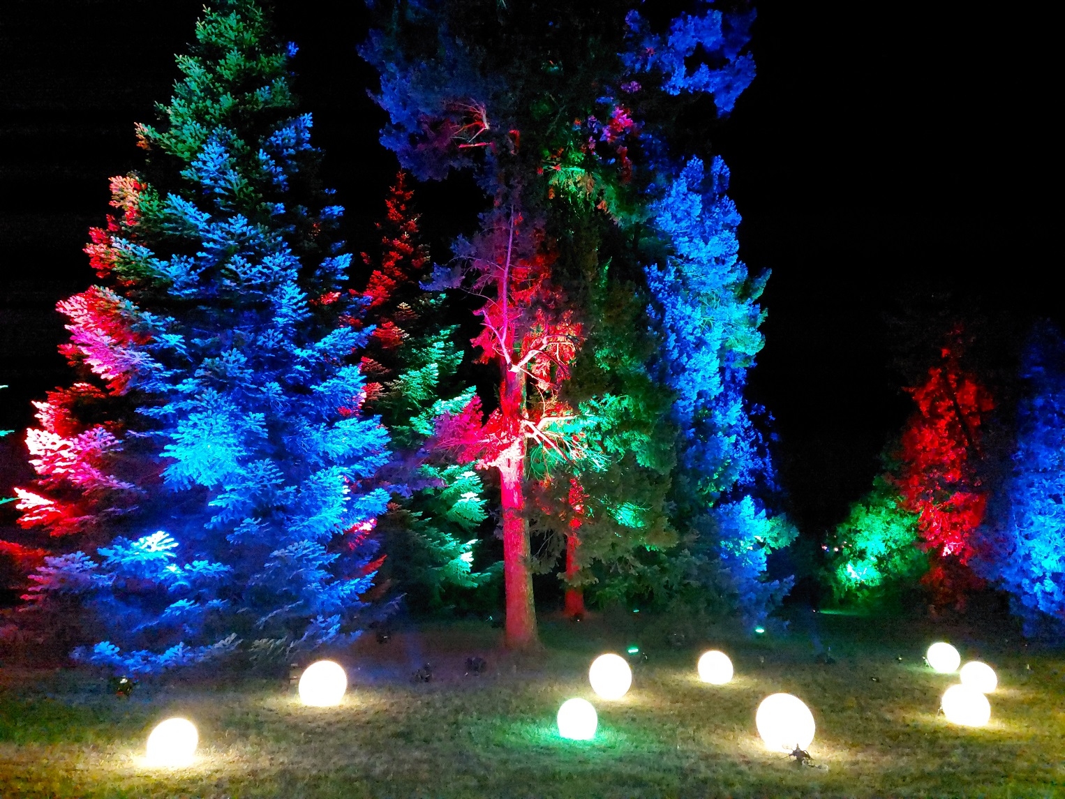 Christmas Garden Berlin 2021 03.12.2021