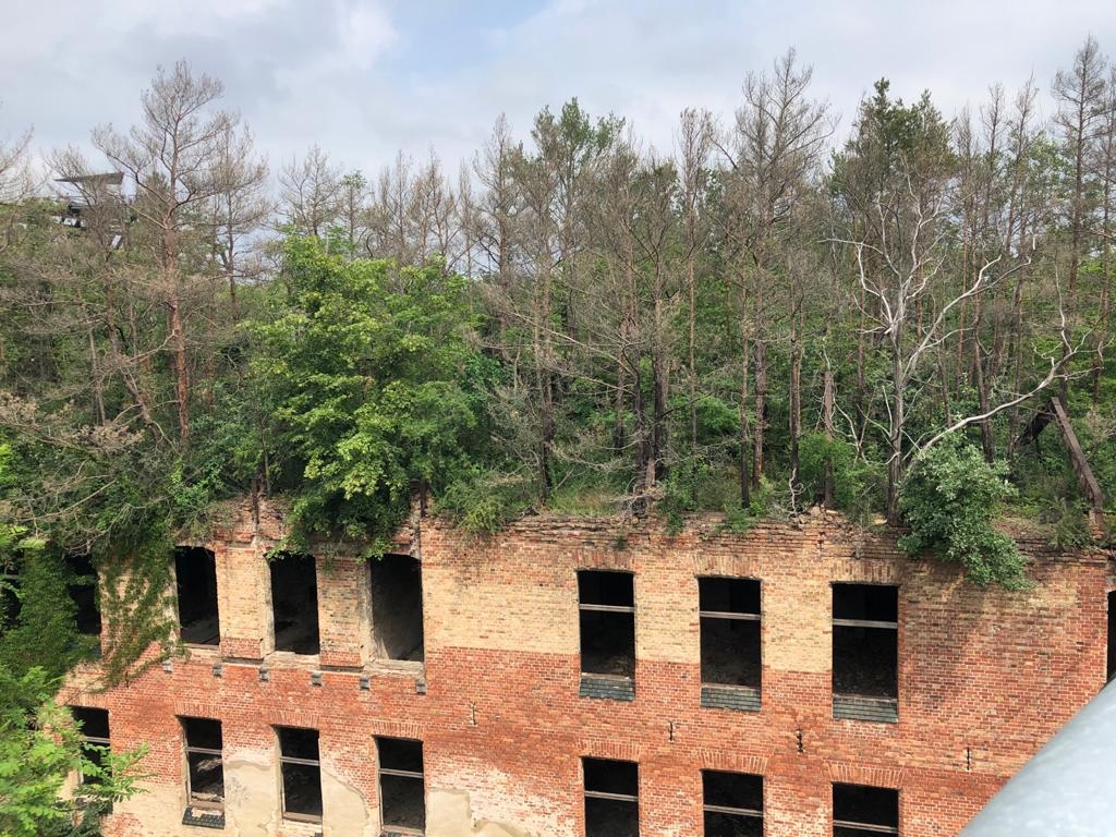 Beelitz 10