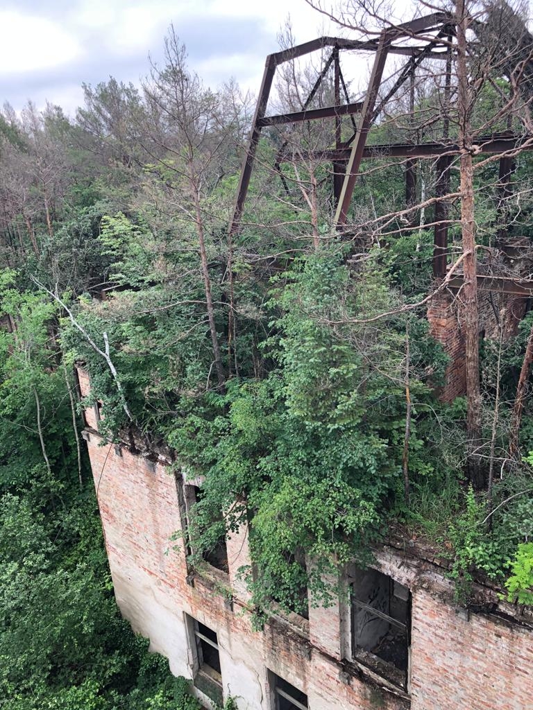 Beelitz 12