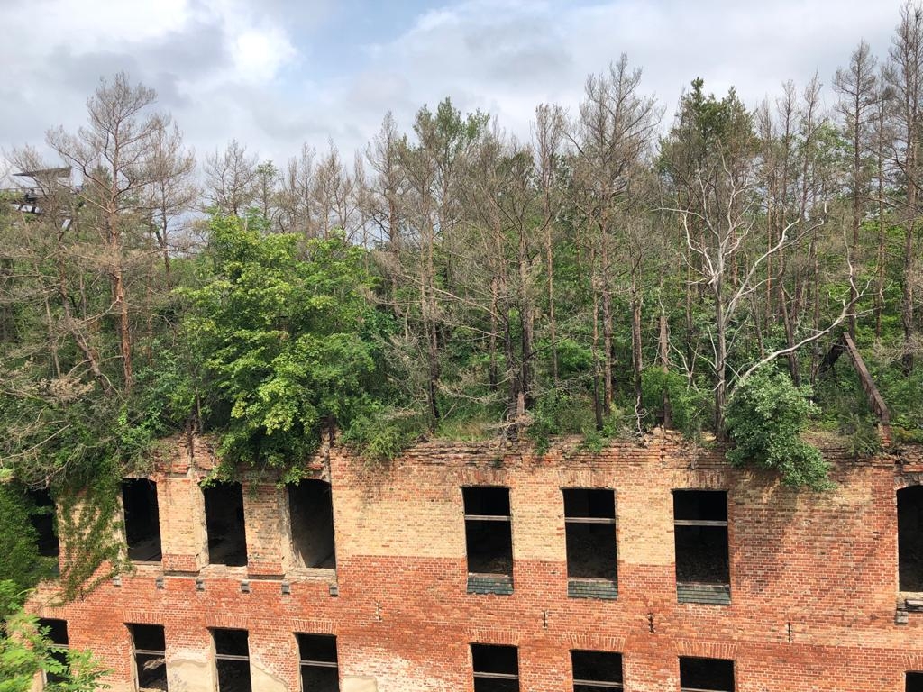 Beelitz 14